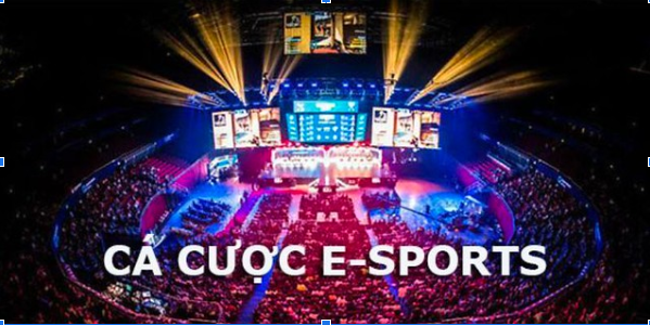 Cá cược thể thao điện tử esports chất lượng