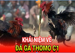 Khái niệm như thế nào là đá gà thomo c1