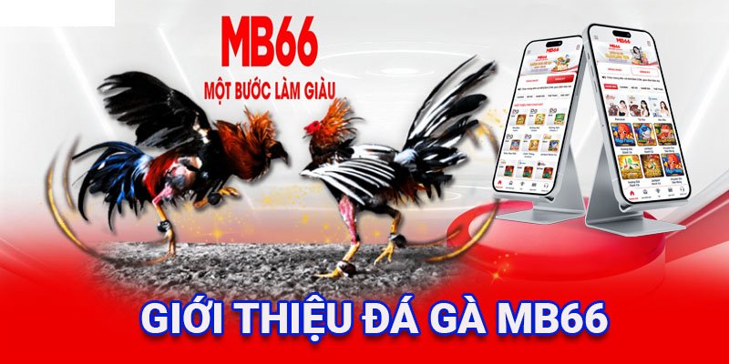 Giới thiệu tổng quan về nhà cái MB66