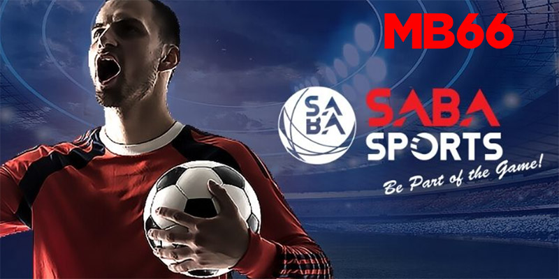 Ưu điểm của cá cược bóng đá saba sports