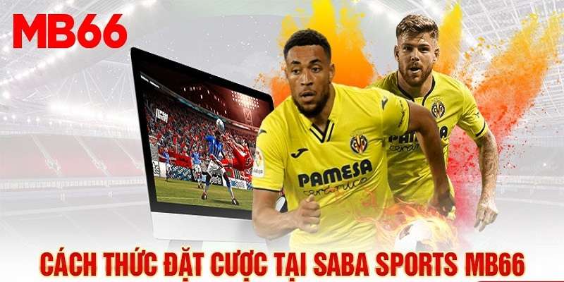 Chơi cá độ bóng đá tại sảnh SABA Sports MB66